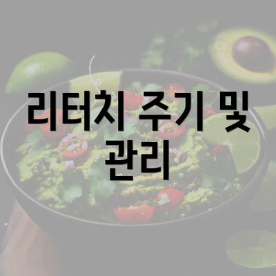 리터치 주기 및 관리