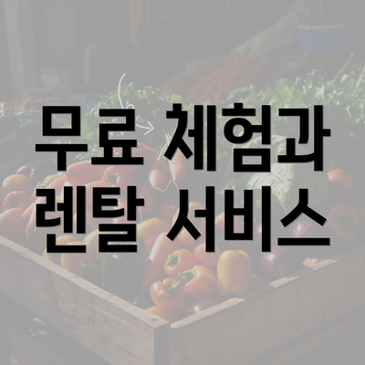 무료 체험과 렌탈 서비스