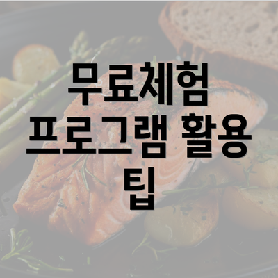 무료체험 프로그램 활용 팁