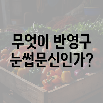 무엇이 반영구 눈썹문신인가?