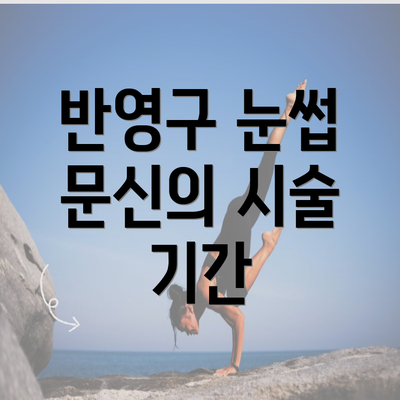 반영구 눈썹 문신의 시술 기간