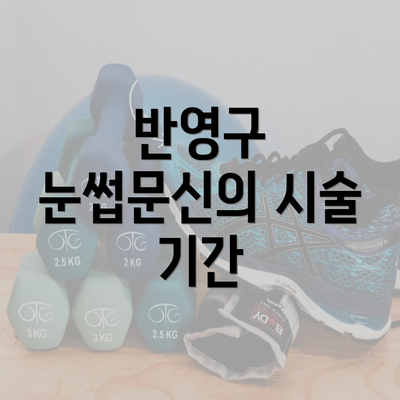 반영구 눈썹문신의 시술 기간