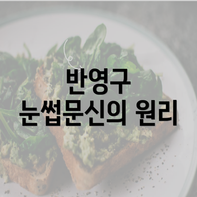 반영구 눈썹문신의 원리