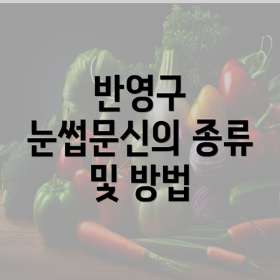 반영구 눈썹문신의 종류 및 방법