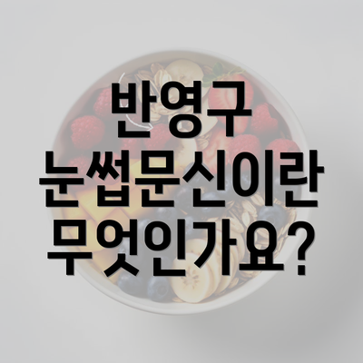 반영구 눈썹문신이란 무엇인가요?