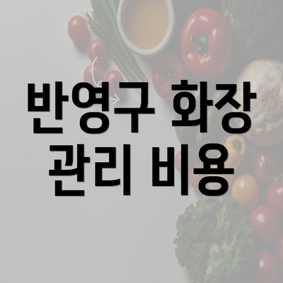 반영구 화장 관리 비용