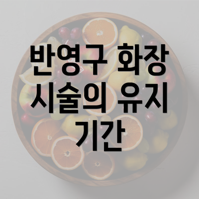 반영구 화장 시술의 유지 기간