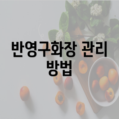 반영구화장 관리 방법