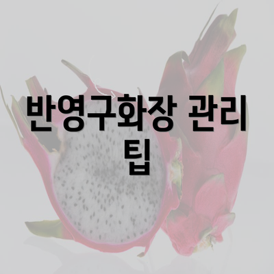 반영구화장 관리 팁