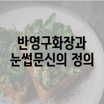 반영구화장과 눈썹문신의 정의