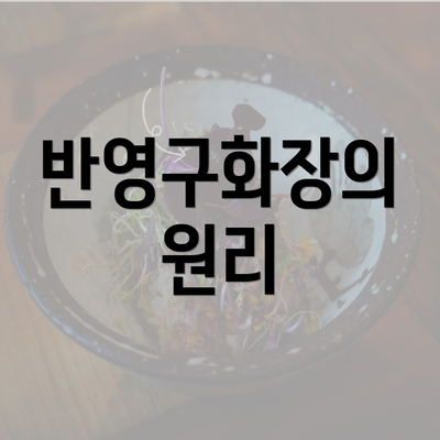 반영구화장의 원리