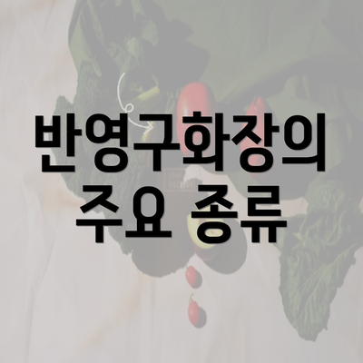 반영구화장의 주요 종류