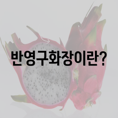 반영구화장이란?