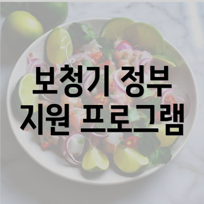 보청기 정부 지원 프로그램