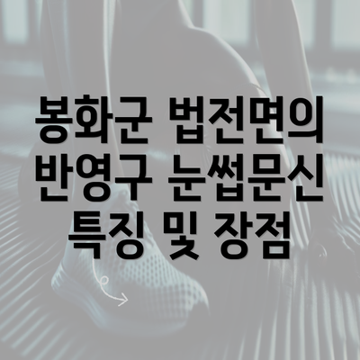 봉화군 법전면의 반영구 눈썹문신 특징 및 장점