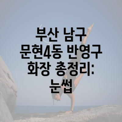 부산 남구 문현4동 반영구 화장 총정리: 눈썹