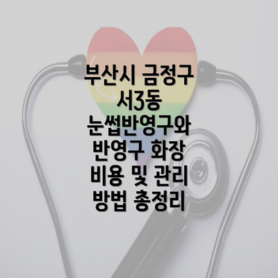 부산시 금정구 서3동 눈썹반영구와 반영구 화장 비용 및 관리 방법 총정리