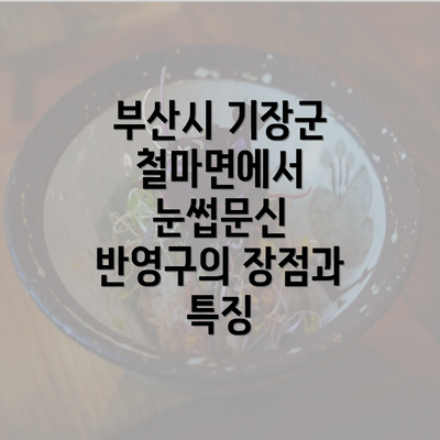 부산시 기장군 철마면에서 눈썹문신 반영구의 장점과 특징