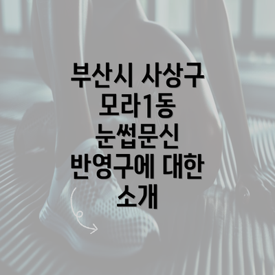 부산시 사상구 모라1동 눈썹문신 반영구에 대한 소개