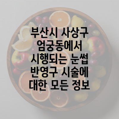 부산시 사상구 엄궁동에서 시행되는 눈썹 반영구 시술에 대한 모든 정보