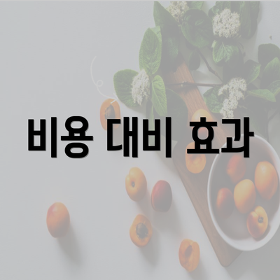 비용 대비 효과