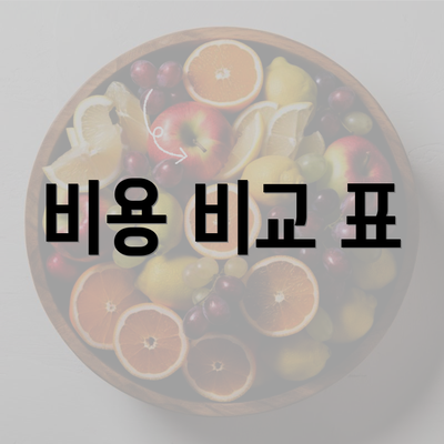 비용 비교 표