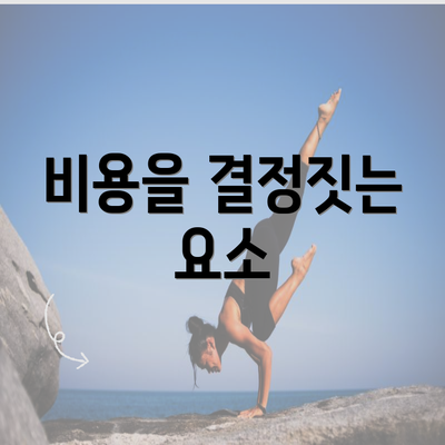 비용을 결정짓는 요소