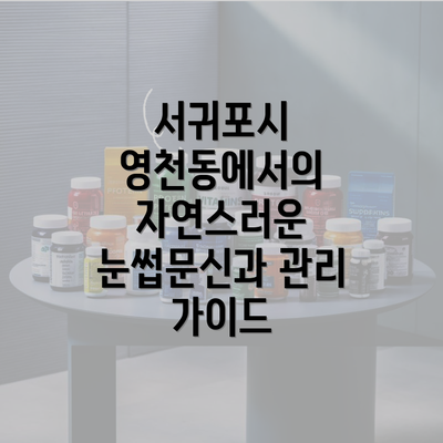 서귀포시 영천동에서의 자연스러운 눈썹문신과 관리 가이드