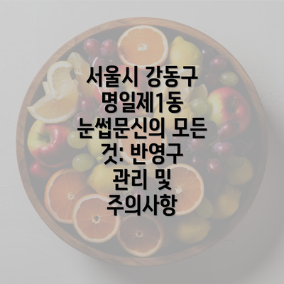 서울시 강동구 명일제1동 눈썹문신의 모든 것: 반영구 관리 및 주의사항