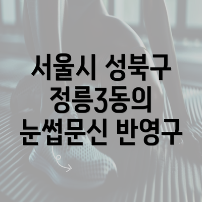 서울시 성북구 정릉3동의 눈썹문신 반영구