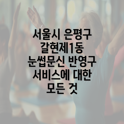 서울시 은평구 갈현제1동 눈썹문신 반영구 서비스에 대한 모든 것