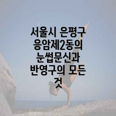 서울시 은평구 응암제2동의 눈썹문신과 반영구의 모든 것