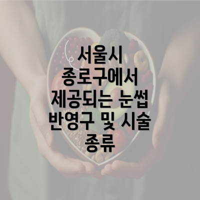 서울시 종로구에서 제공되는 눈썹 반영구 및 시술 종류