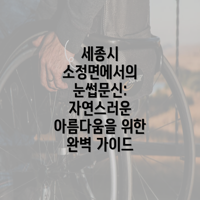 세종시 소정면에서의 눈썹문신: 자연스러운 아름다움을 위한 완벽 가이드