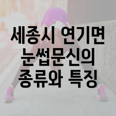 세종시 연기면 눈썹문신의 종류와 특징