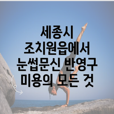 세종시 조치원읍에서 눈썹문신 반영구 미용의 모든 것