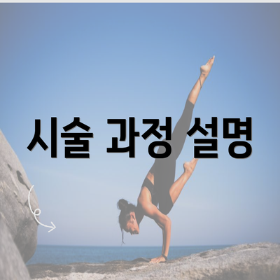 시술 과정 설명