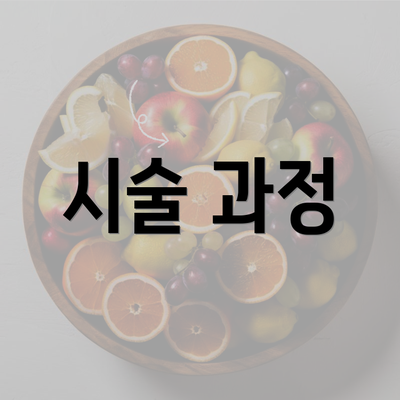 시술 과정