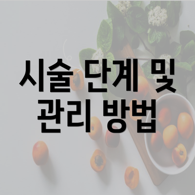 시술 단계 및 관리 방법