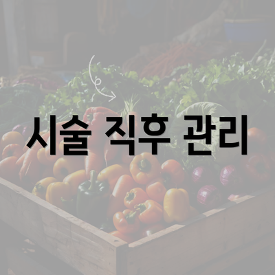 시술 직후 관리