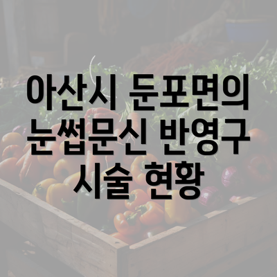 아산시 둔포면의 눈썹문신 반영구 시술 현황