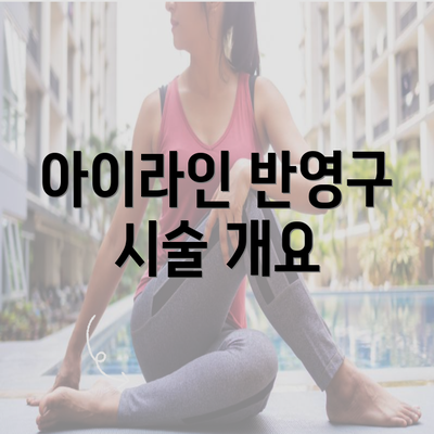 아이라인 반영구 시술 개요