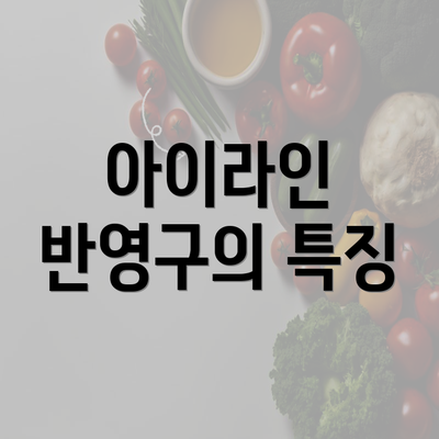 아이라인 반영구의 특징