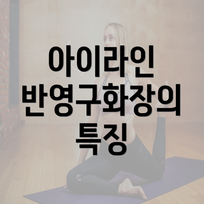 아이라인 반영구화장의 특징