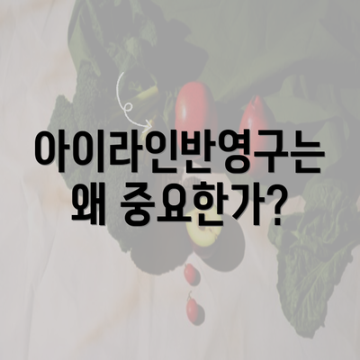 아이라인반영구는 왜 중요한가?