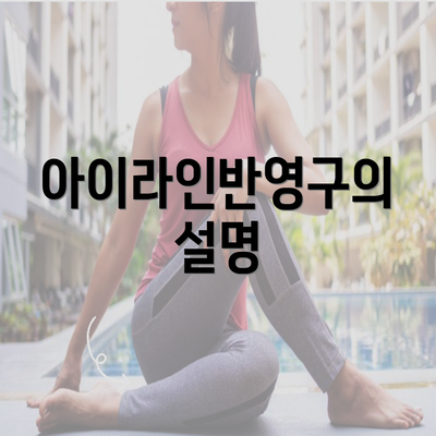 아이라인반영구의 설명