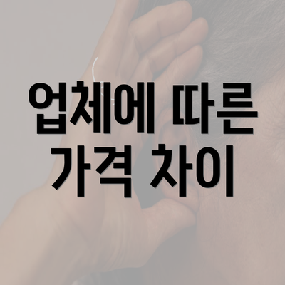 업체에 따른 가격 차이