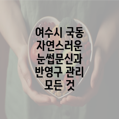 여수시 국동 자연스러운 눈썹문신과 반영구 관리 모든 것