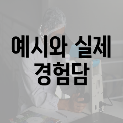 예시와 실제 경험담