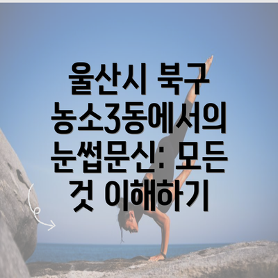 울산시 북구 농소3동에서의 눈썹문신: 모든 것 이해하기